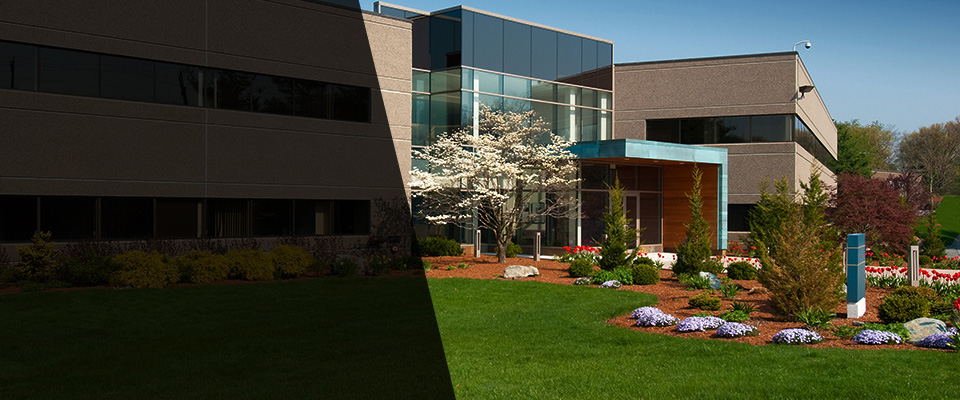 Ball Ground Landscapers