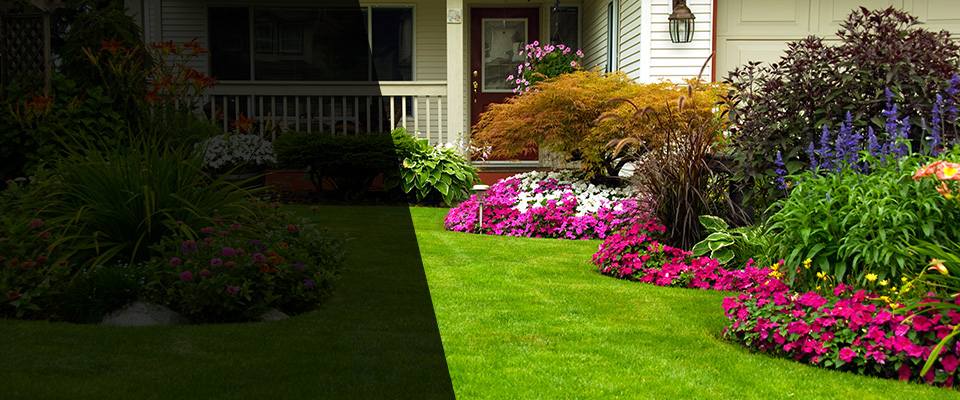 Ball Ground Landscapers