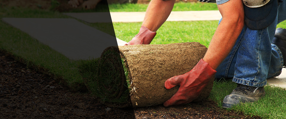 Ball Ground Landscapers